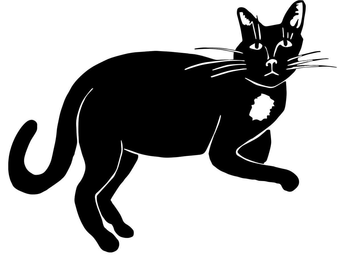 Ever Expanding Felines