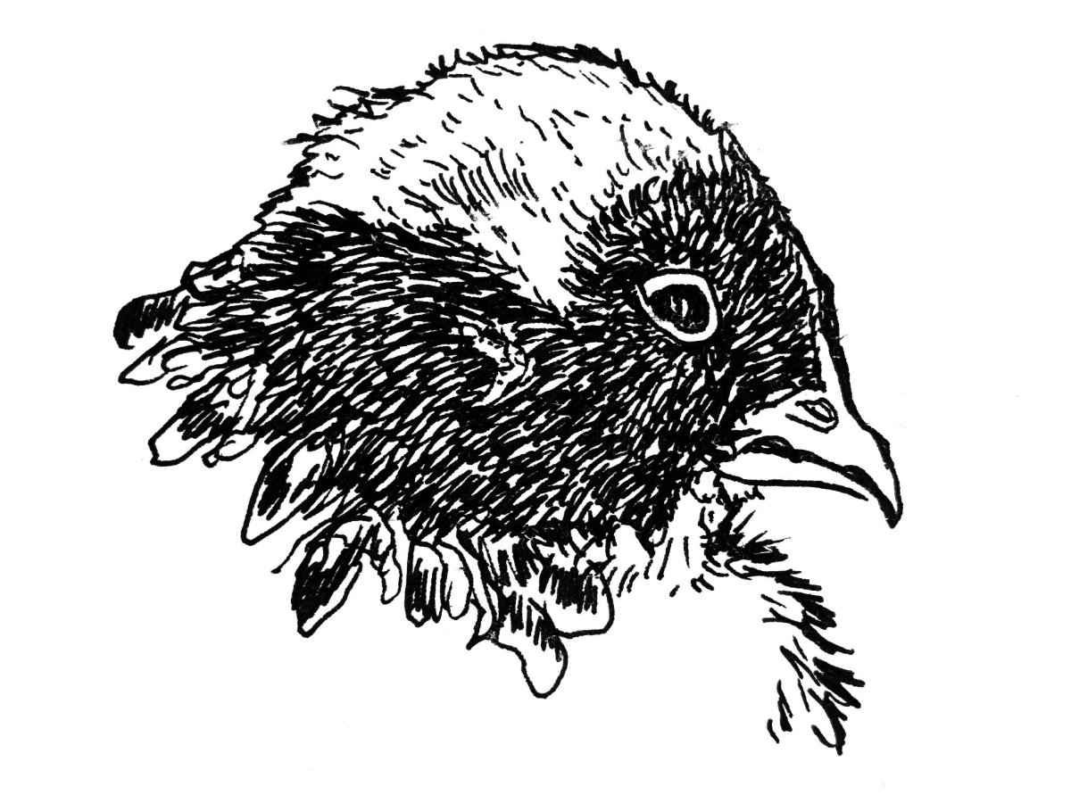 It’s the Most Wonderful Time of the&nbsp;Year